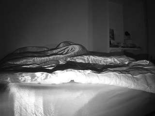 voyeurcam-CelticIRON-01