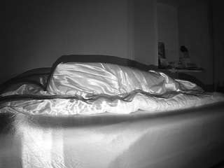 voyeurcam-celticiron-01