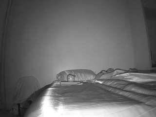 voyeurcam-CelticIRON-01