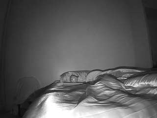 voyeurcam-CelticIRON-01