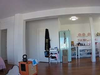 voyeurcam-celticiron-01