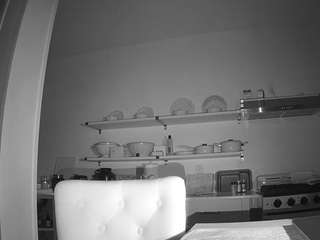 voyeurcam-celticiron-01