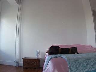 voyeurcam-celticiron-01