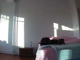 voyeurcam-celticiron-01