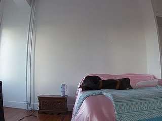 voyeurcam-celticiron-01