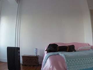 voyeurcam-CelticIRON-01