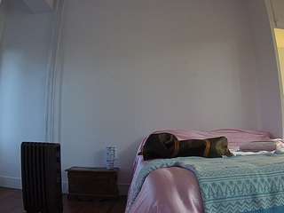 voyeurcam-celticiron-01