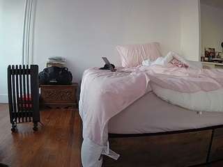 voyeurcam-celticiron-01