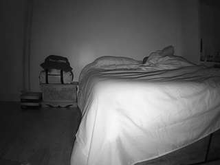 voyeurcam-celticiron-01