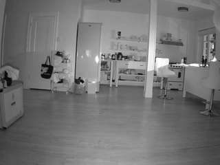 voyeurcam-CelticIRON-01