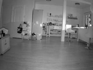 voyeurcam-CelticIRON-01