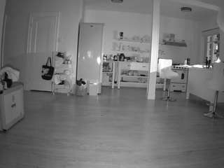 voyeurcam-celticiron-01