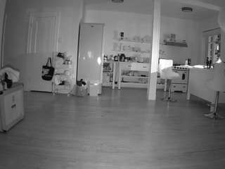 voyeurcam-celticiron-01