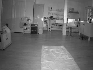 voyeurcam-CelticIRON-01