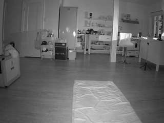 voyeurcam-celticiron-01