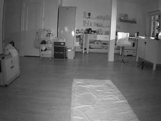 voyeurcam-celticiron-01