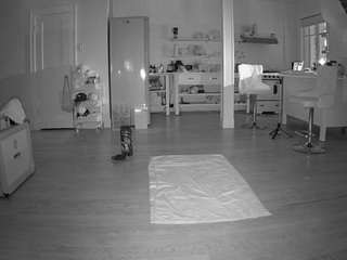 voyeurcam-celticiron-01