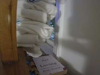 voyeurcam-CelticIRON-01