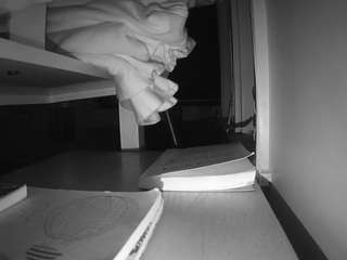 voyeurcam-CelticIRON-01