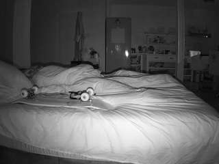 voyeurcam-CelticIRON-01