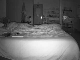 voyeurcam-celticiron-01