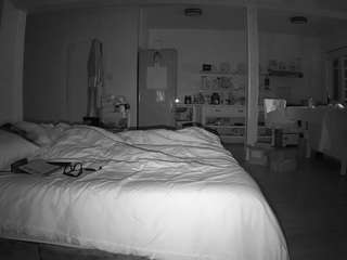 voyeurcam-celticiron-01