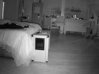 voyeurcam-celticiron-01