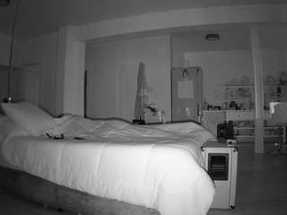 voyeurcam-CelticIRON-01