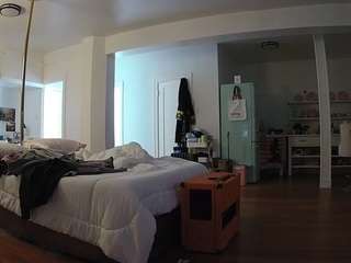 voyeurcam-celticiron-01