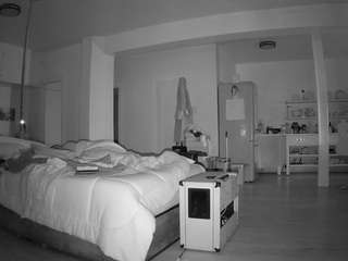 voyeurcam-celticiron-01