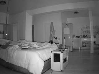 voyeurcam-celticiron-01