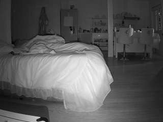 voyeurcam-CelticIRON-01