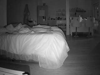 voyeurcam-celticiron-01