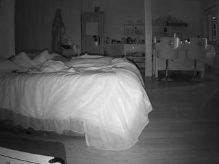 voyeurcam-CelticIRON-01