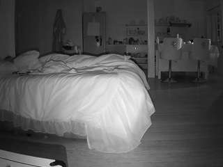 voyeurcam-CelticIRON-01