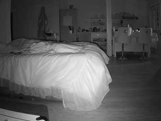 voyeurcam-CelticIRON-01