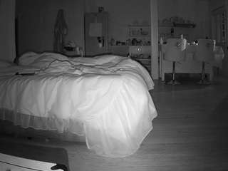 voyeurcam-CelticIRON-01