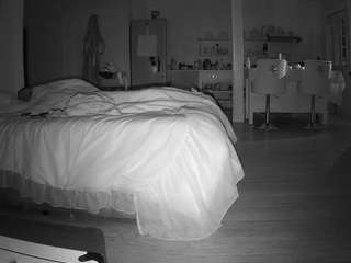 voyeurcam-celticiron-01