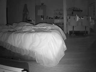 voyeurcam-celticiron-01