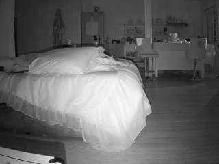 voyeurcam-celticiron-01