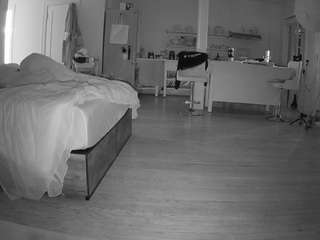 voyeurcam-celticiron-01 webcam