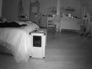 voyeurcam-CelticIRON-01