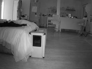 voyeurcam-celticiron-01