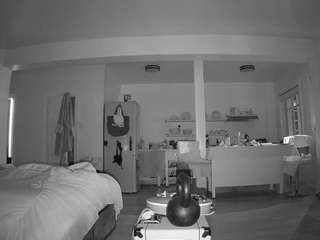 voyeurcam-CelticIRON-01