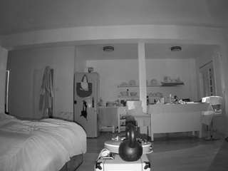 voyeurcam-CelticIRON-01