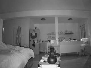 voyeurcam-celticiron-01