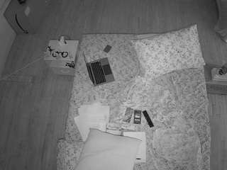 voyeurcam-celticiron-01