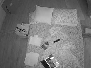 voyeurcam-celticiron-01