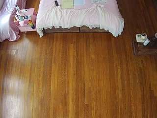 voyeurcam-celticiron-01