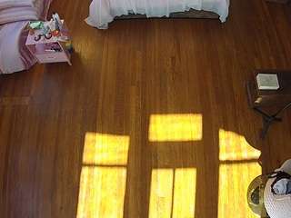 voyeurcam-celticiron-01